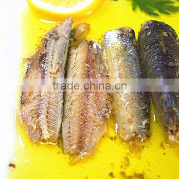 125g Canned Sardine in Oil(WW-125) Wholesale best fresh sardine material manufacturer price 125g 155g 425g