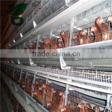 galvanized wire mesh construction of poultry cage for chicken