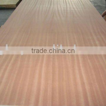 Sapele plywood