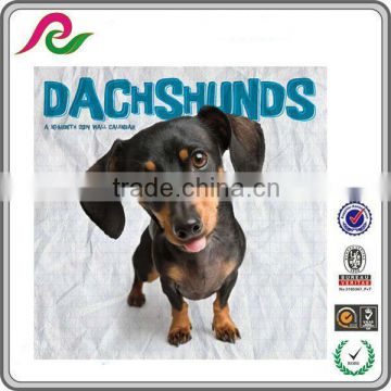 Dachshund Puppies 2014 Perpetual Wall Calendar