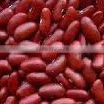 Red Kidney Beans Size 220-240/100g