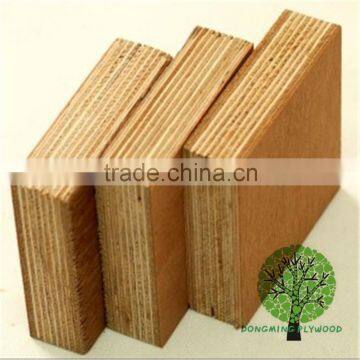 Keruing Veneer Plywood Factory in Linyi Guangdong Shipping Container Plywood photo-2