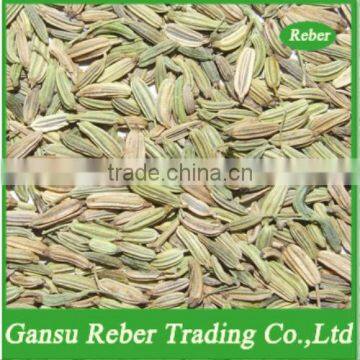 Fennel Seeds