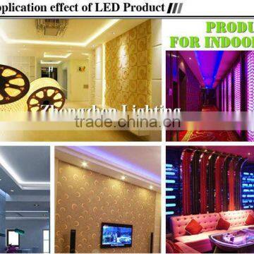 Outdoor Building Projection Lighting 110V Led Flexible Hose Light photo-6