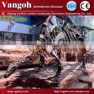 VGS132-indoor decoration dinosaur skull skeleton model