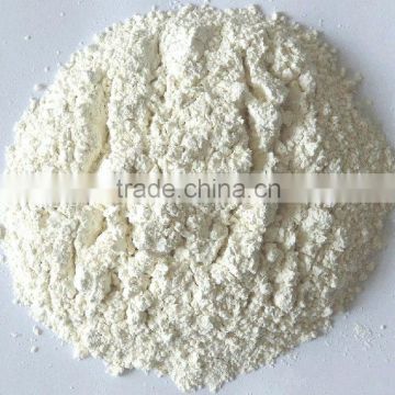 white onion powder