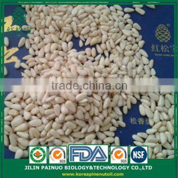 Wholesale Factory Direct Top Quality Chines Red Korean Pine Nut Kernels photo-3