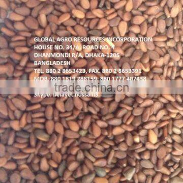 20,000 MTS BROWN SESAME SEED