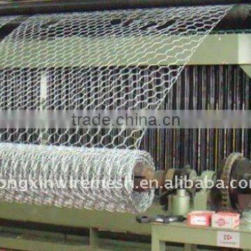 Gabion Wire Mesh hexagonal wire mesh