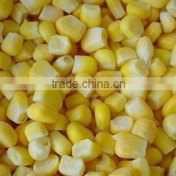 IQF sweet corn grain