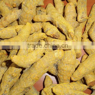 Excellent Grade Of Erode Turmeric Finger from India