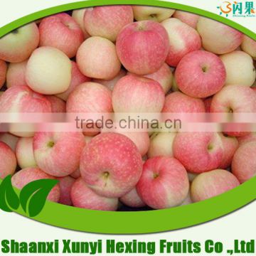 New Crop of Fresh Roya gala apple red apple for importer buyer