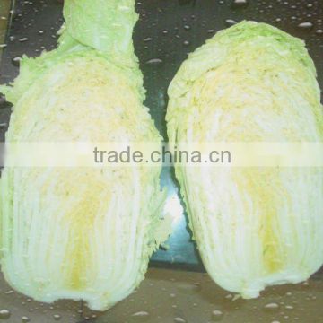 fresh green cabbage