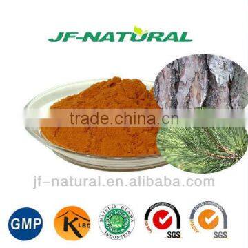 100% natural Pine Bark Extract Proanthocyanidins 95%