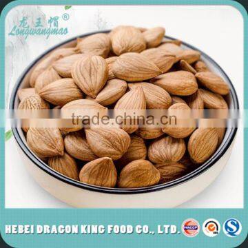 Hot Sale Bitter and Sweet Organic Apricot Nut for Snack and Beverage photo-2