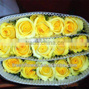 export fresh cut rose flower of yellow rose from china