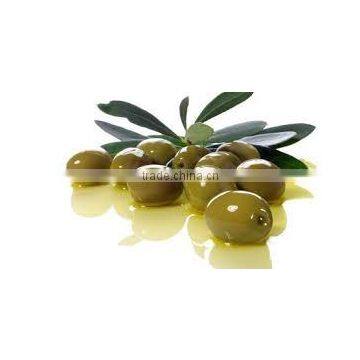 High Quality Product of Olive Oil