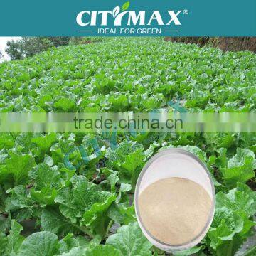 Import Amino Acid Powder