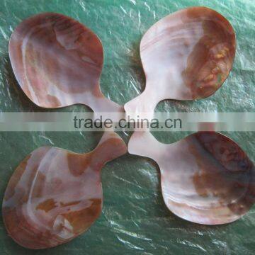 Accept customer design seashell spoon, safe for food spoon made in Vietnam