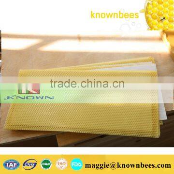 High quality bulk honey comb foundation sheet with beeswax