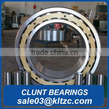 German China brands bearings for conveyor belts C5914V