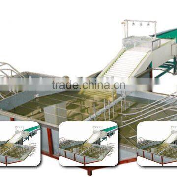 fruit vegetable washing machine(FS-QXDL)