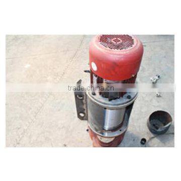 Double Speed Wire Rope Electric Hoist Winch Hoist