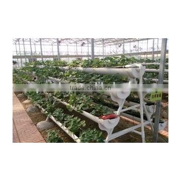 Hydroponic system for plant growth