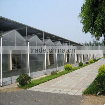 XINHE Hydroponics agriculture PC greenhouse