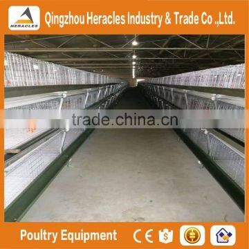 Factory Price Trade Assurance Cages Chicken Equipment Poultry Equipment photo-6