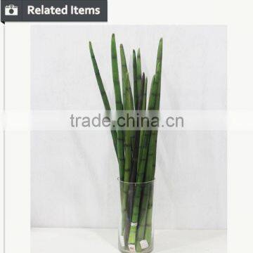 Manufacturing Maguey Garden Decoration Indoor Decoration Handmade Plant for Sale photo-6