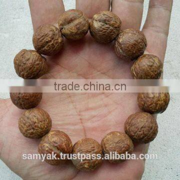 Buddha Chitta 13 Beads Bodhi Seed Genuine Indonesian Phoenix Eye Mala Phrengba photo-2