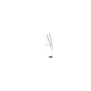 UTP Cat5e/Cat6e Cable 018