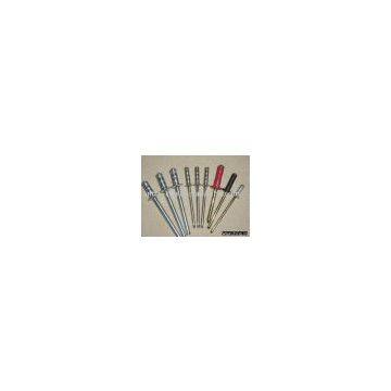 Blind Rivet/Open Type Rivet/Steel Rivet