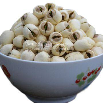 Lotus Seed Lotus Nut Lotus Kernel Dried Handmade White Lotus Seed With Core Plumule photo-5