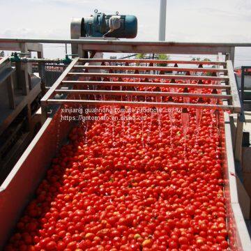 2019 Crop Tomato Paste photo-5