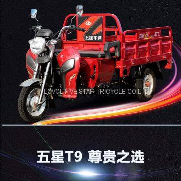 Gasoline Tricycle Cargo Loader Lovol Three Wheeler Mali Ethiopia Ghana Bukina Faso Tanzania Kenya Senegal Togo Benin Nigeira Mauritania Angola Burundi Chad Cameroon C ô te D'Ivoire Gabon Guinea Mozambique Rwanda Congo Uganda Zimbabwe photo-2