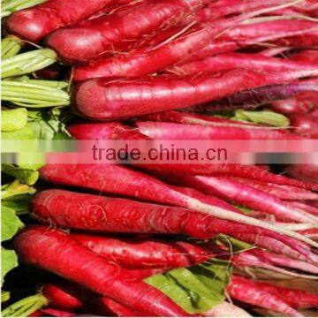 Food Ingredients Radish Red Colorants