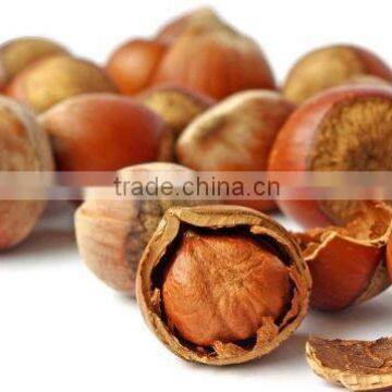 new product 2016 High Quality Hazelnuts for sale