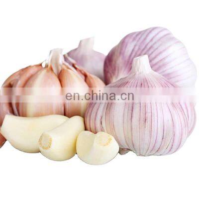 frozen garlic healthy food and cheap price new crop Chinese with reliable price