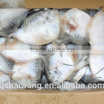 Frozen Mene Macuiata fish feed with size 150 - 200 g