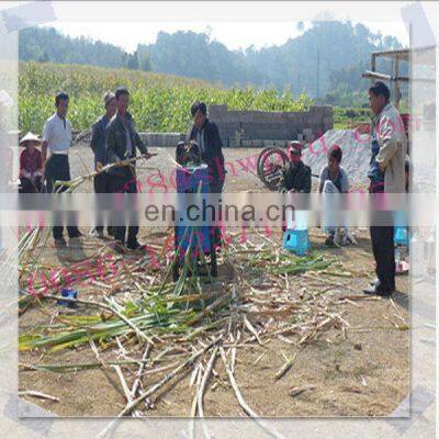 Sugarcane Leaf Stripper Machine Suagrcane Leaf Removing Machine photo-4