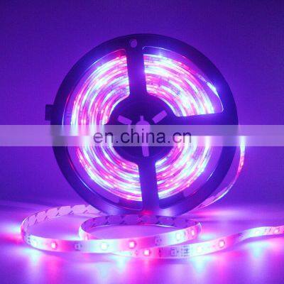 5M Waterproof RGB LED Strip Lamp 3528SMD 12V US EU AU UK Adapter Strip Lights photo-2