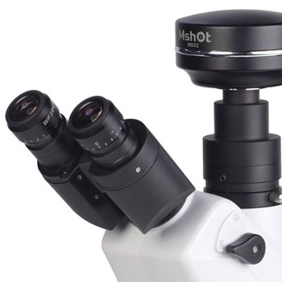 Inverted Metallurgical Microscope MJX60 photo-2