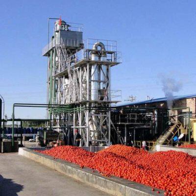 GENYOND Автоматическая маломасштабная линия производства томатного пасты. Оборудование для обработки томатного пасты