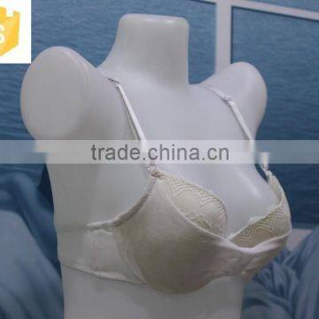 Lastest Arrival Mesh Decorated Sex Push-up Bra ,adjustable Comfortable Bra photo-2