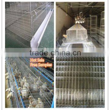 chicken cage/chicken cage for sale /chicken layer cage                        
                                                Quality Choice