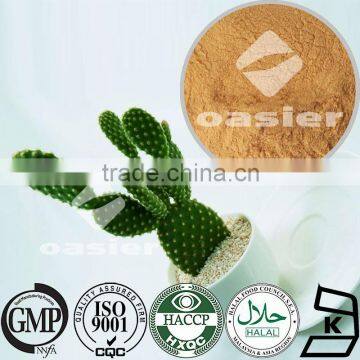 Natural Cactus Extract/ Opuntia Dillenii(Ker-Gawl.)/ Lose weight/ Factory