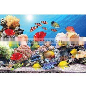 3d Graphics Card photo-2