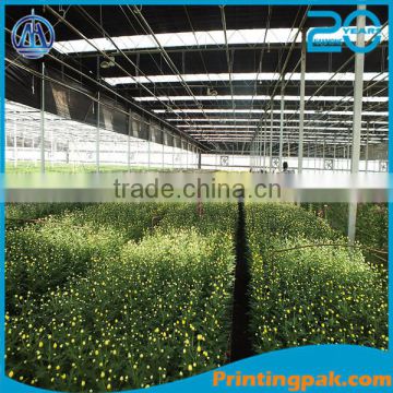 greenhouse plastic white transparent film for vegetable,flowers,mushrooms,animals, pigs,chicken                        
                                                Quality Choice